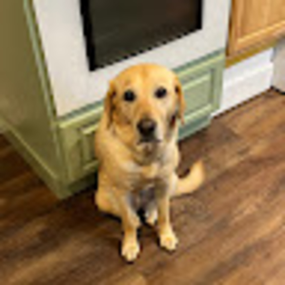 Meet your Posher, Chris